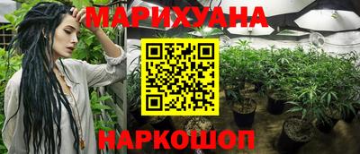 spice Усть-Джегута