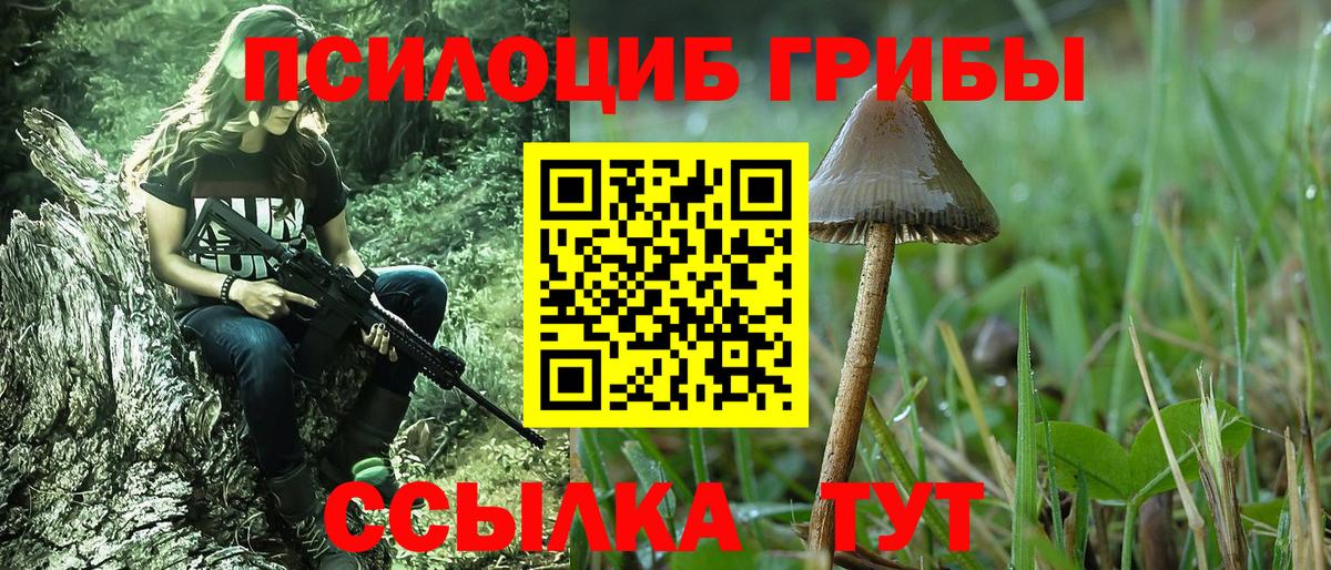 Галлюциногенные грибы мицелий  Вход с VPN  Ставрополь  Псилоцибиновые грибы Psilocybine cubensis 